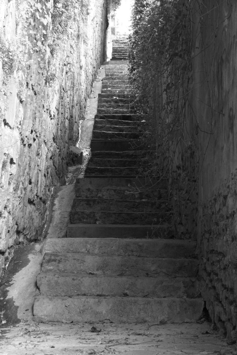 Steps